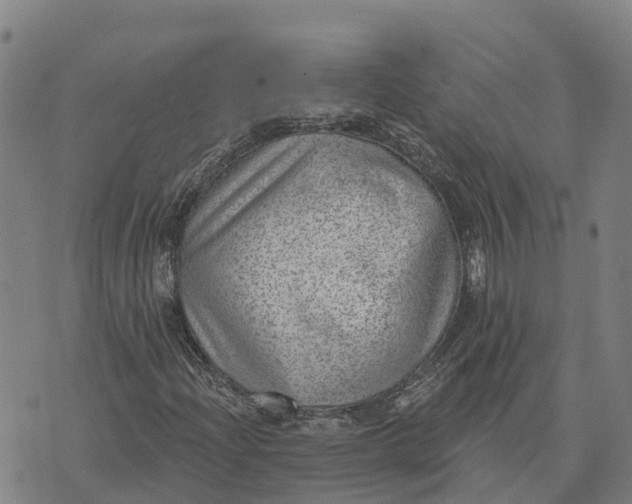 X0000073891204200609011644