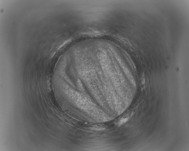 X0000073891205200609011644