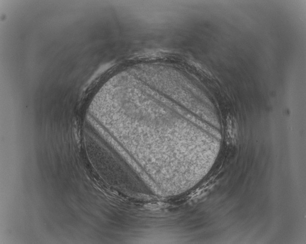 X0000073891206200609011644