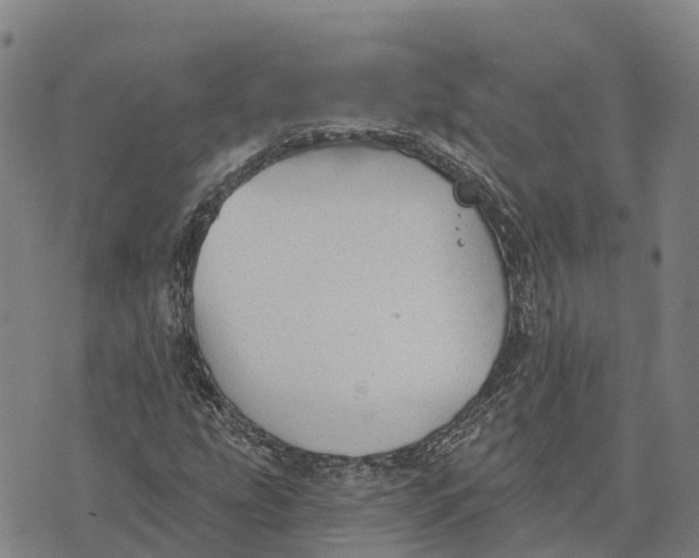 X0000073891207200609011644