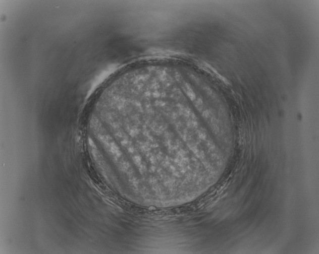 X0000073891208200609011644