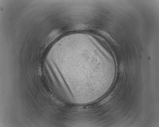 X0000073891209200609011644