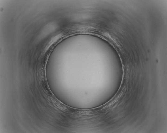 X0000073891211200609011645