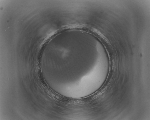 X0000073891213200609011645