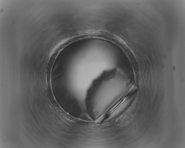 X0000073891214200609011645