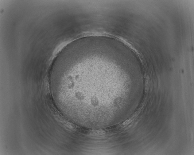 X0000073891215200609011645