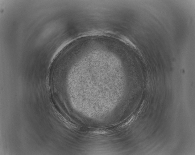 X0000073891216200609011645