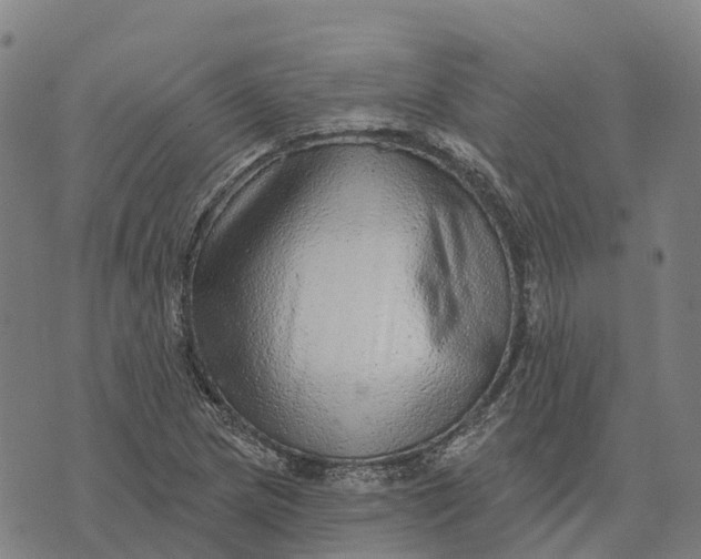 X0000073891217200609011645