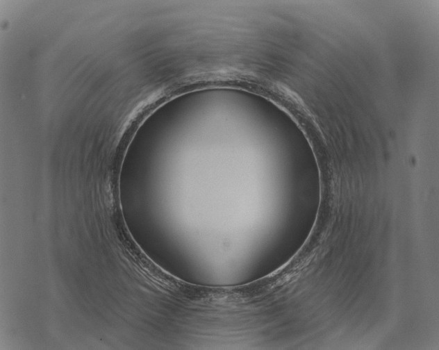 X0000073891218200609011645