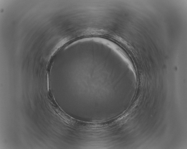 X0000073891219200609011645