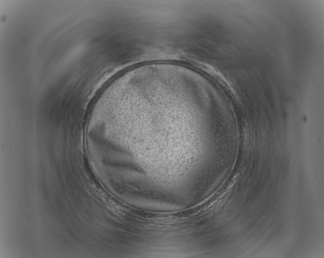 X0000073891220200609011645