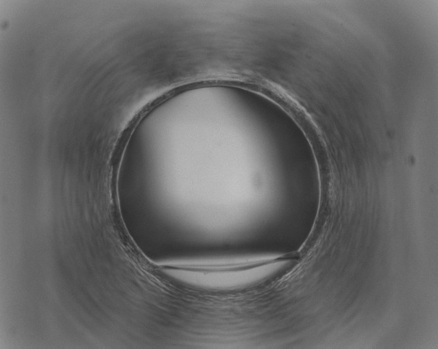 X0000073891222200609011645