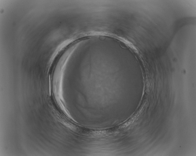 X0000073891223200609011645