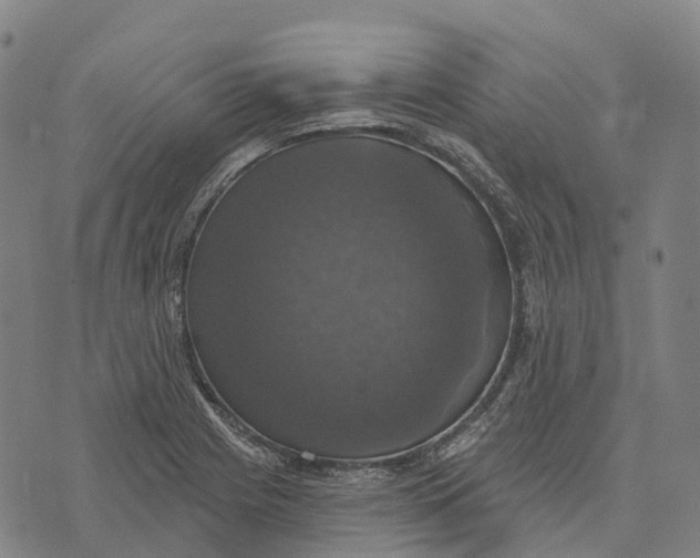 X0000073891225200609011645