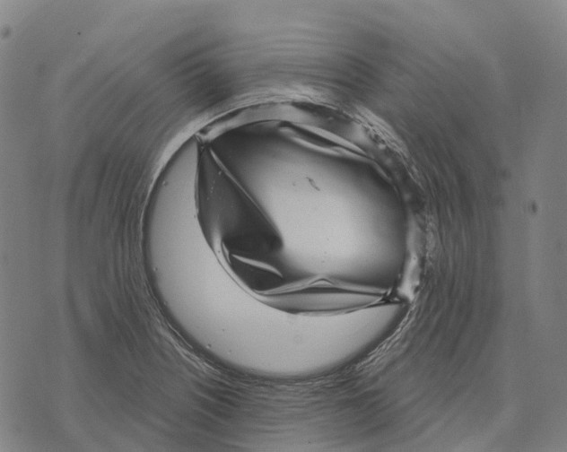 X0000073891226200609011645