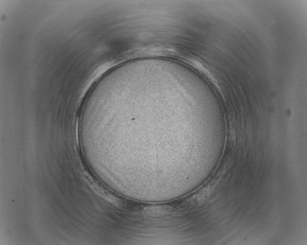 X0000073891227200609011645