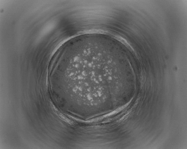 X0000073891228200609011645