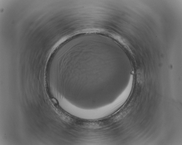 X0000073891229200609011645