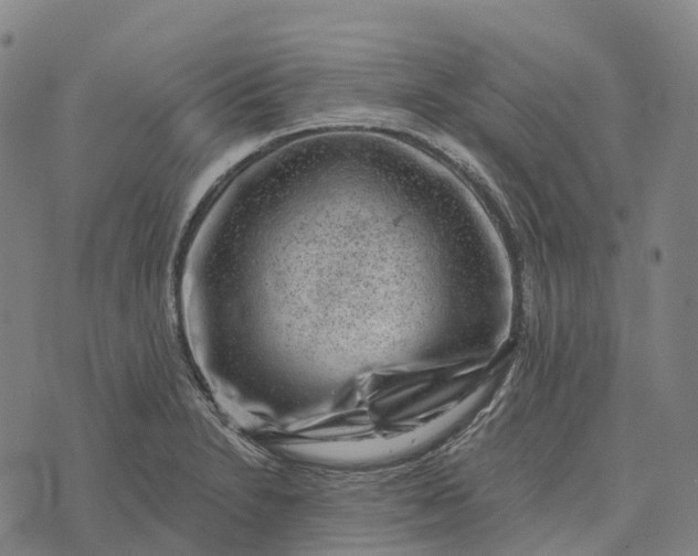 X0000073891230200609011645