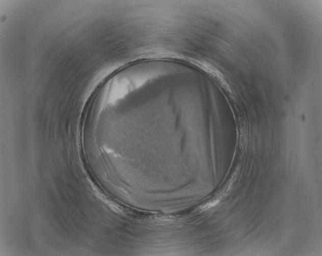 X0000073891231200609011645