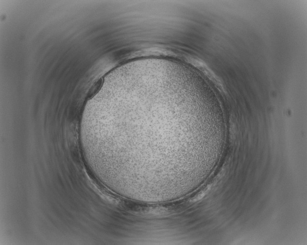 X0000073891233200609011645