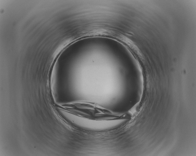 X0000073891234200609011645