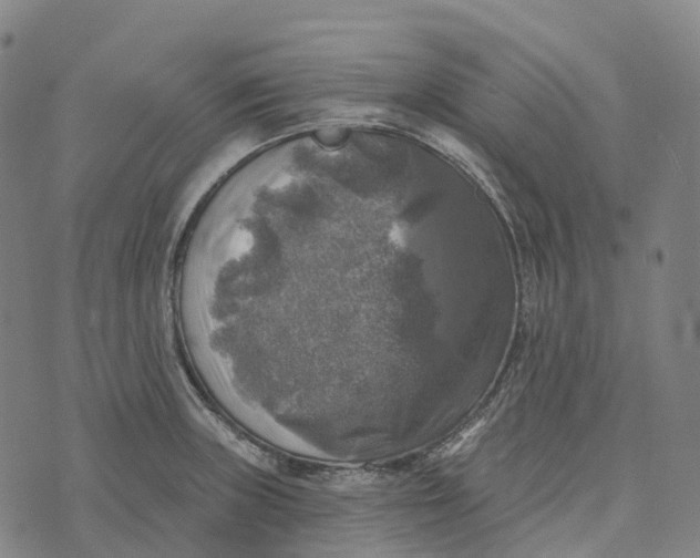 X0000073891235200609011645