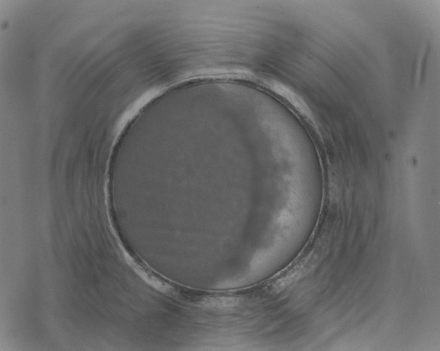 X0000073891237200609011645