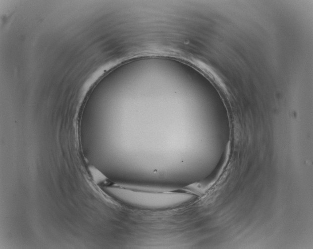 X0000073891238200609011645