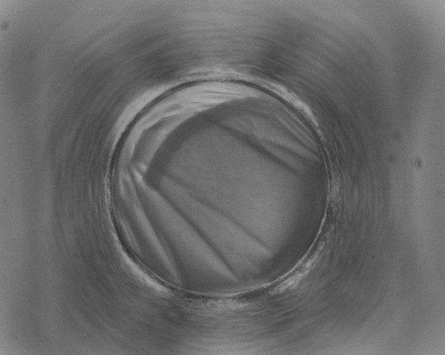 X0000073891239200609011645