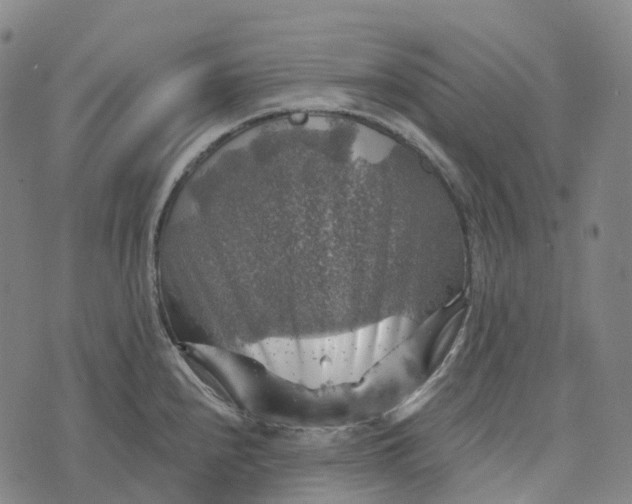 X0000073891240200609011645