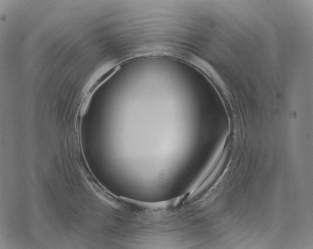 X0000073891242200609011645