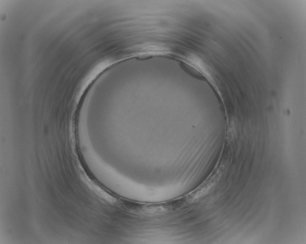 X0000073891243200609011645