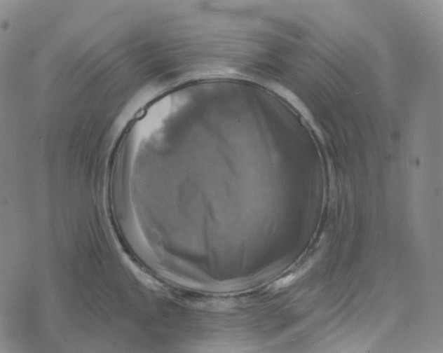 X0000073891245200609011645