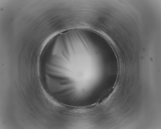 X0000073891246200609011645