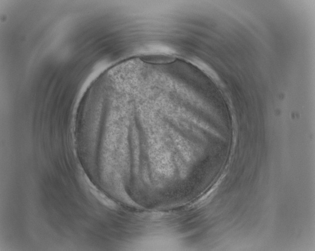 X0000073891248200609011645