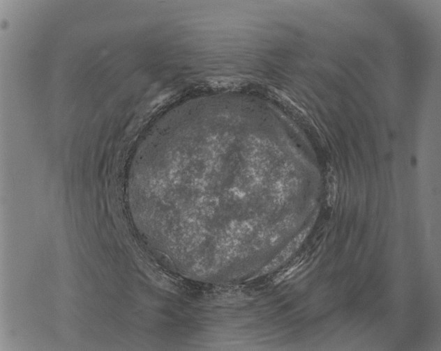 X0000073891249200609011644