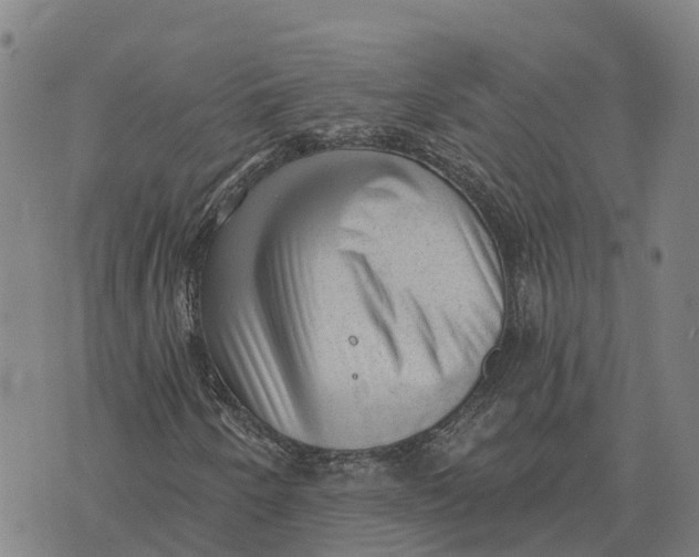 X0000073891250200609011644