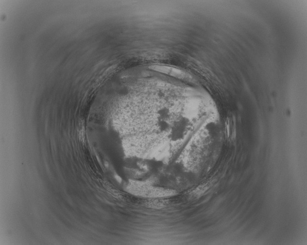 X0000073891251200609011644