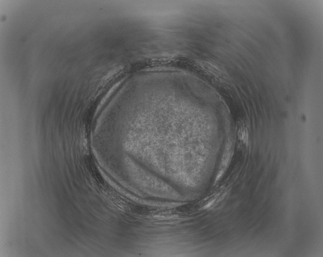 X0000073891252200609011644