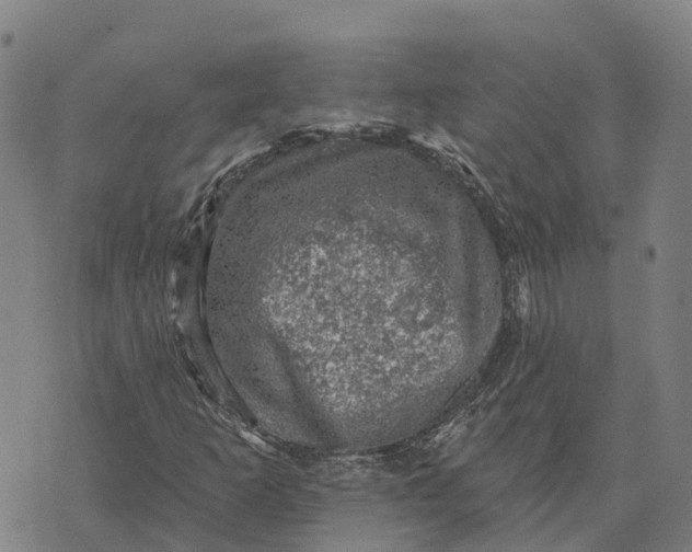 X0000073891253200609011644