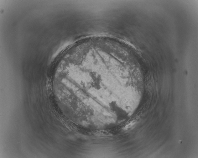 X0000073891255200609011644