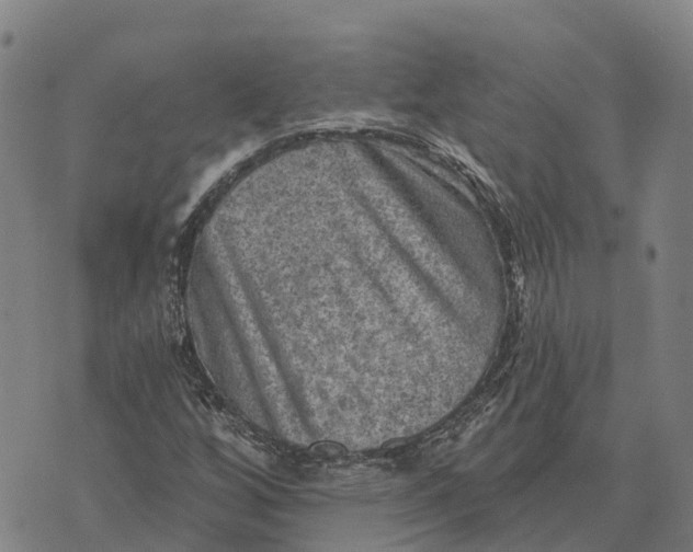 X0000073891256200609011644