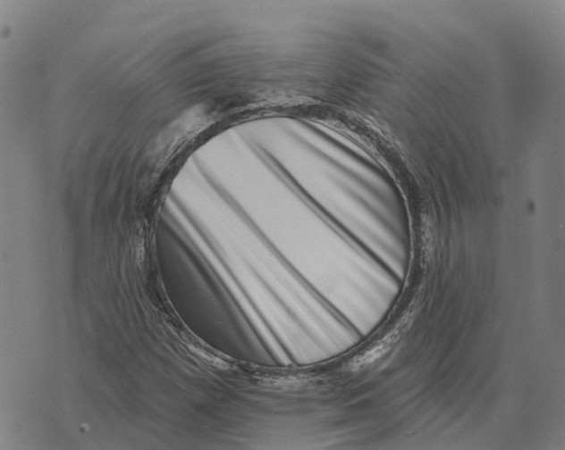 X0000073891257200609011644