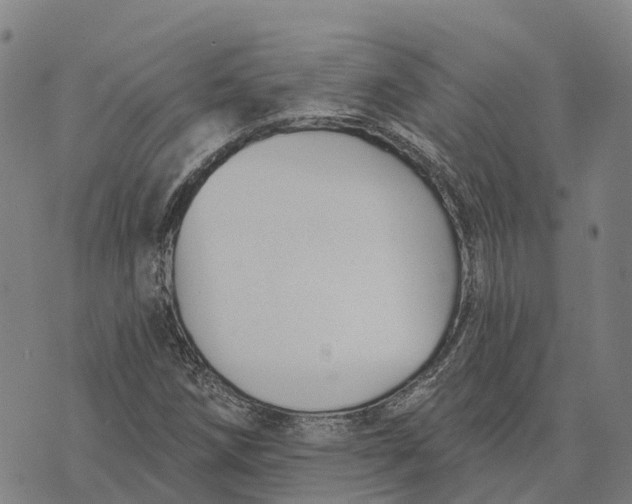 X0000073891258200609011644