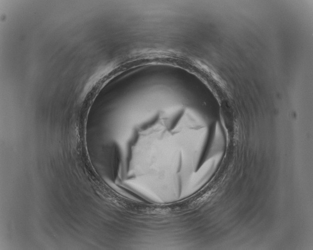 X0000073891261200609011644