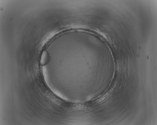 X0000073891263200609011644