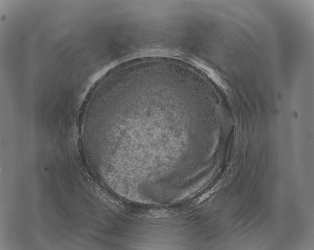 X0000073891264200609011644