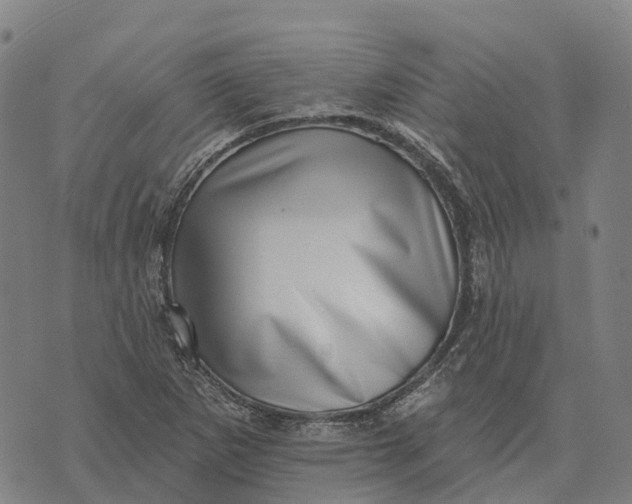 X0000073891265200609011644