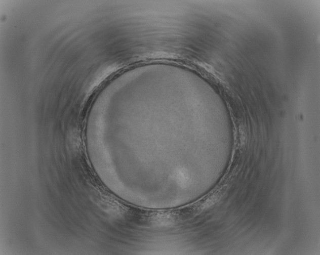 X0000073891266200609011644